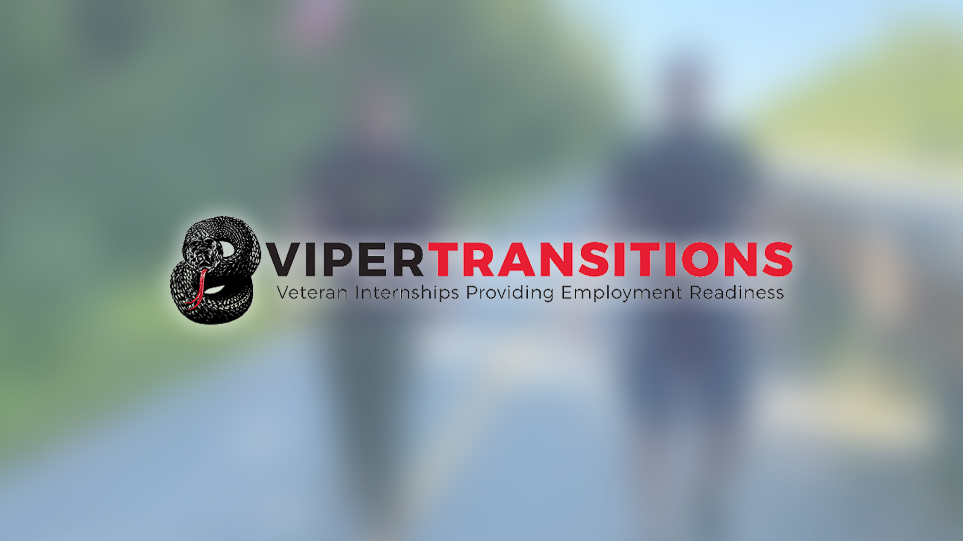 Viper Transitions